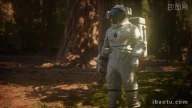 孤独的宇航员在黑暗森林里